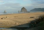 PICTURES/Oregon Coast Road - Cannon Beach/t_P1210884.JPG